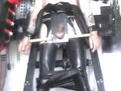 cock stock cbt
