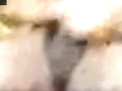 Cute black brown tranny on web camera with a throbbing jock
