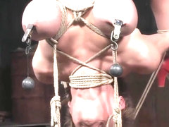 Breast Bonded Sub Hanged And Whipped By Dom